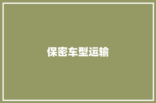 保密车型运输