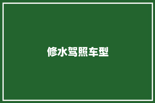 修水驾照车型