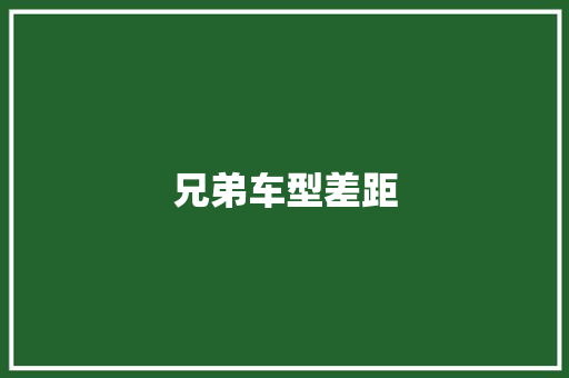 兄弟车型差距