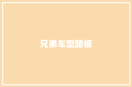 兄弟车型踏板