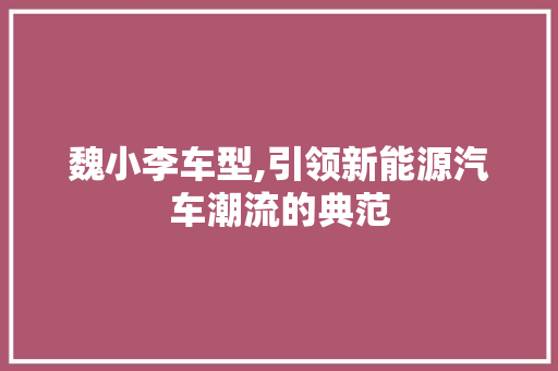 魏小李车型,引领新能源汽车潮流的典范
