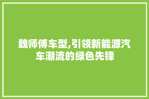 魏师傅车型,引领新能源汽车潮流的绿色先锋