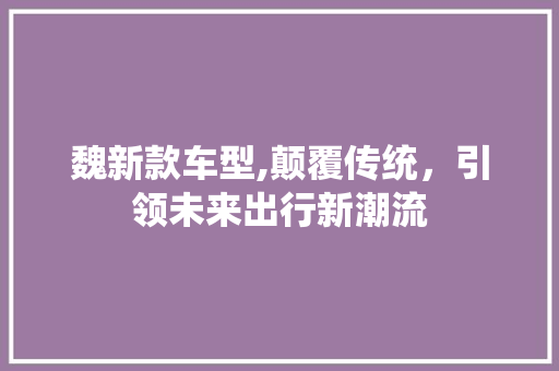 魏新款车型,颠覆传统，引领未来出行新潮流