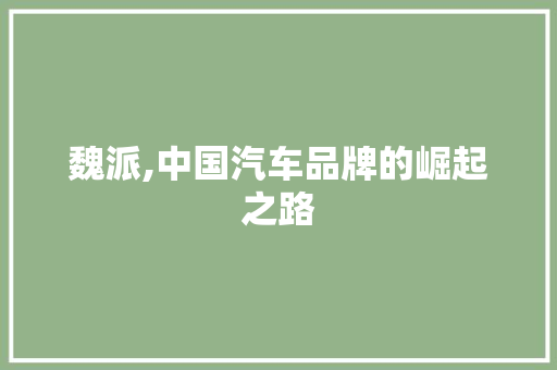 魏派,中国汽车品牌的崛起之路