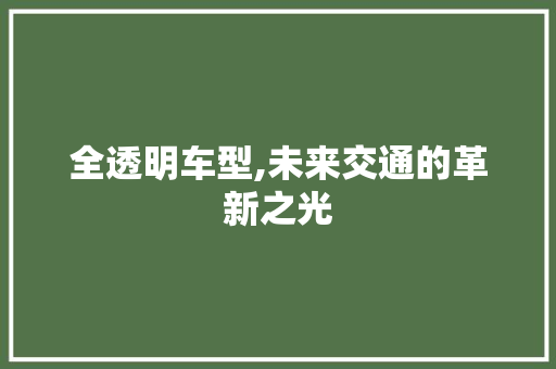 全透明车型,未来交通的革新之光