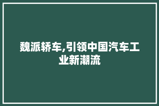 魏派轿车,引领中国汽车工业新潮流