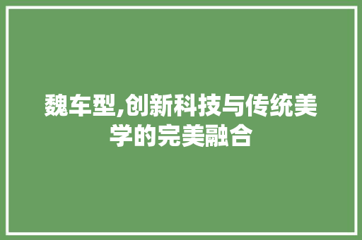 魏车型,创新科技与传统美学的完美融合