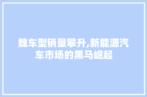 魏车型销量攀升,新能源汽车市场的黑马崛起