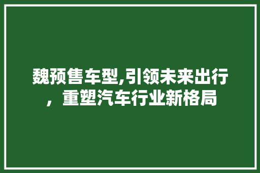 魏预售车型,引领未来出行，重塑汽车行业新格局