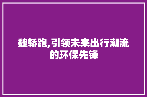魏轿跑,引领未来出行潮流的环保先锋