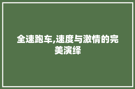 全速跑车,速度与激情的完美演绎