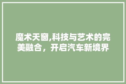 魔术天窗,科技与艺术的完美融合，开启汽车新境界