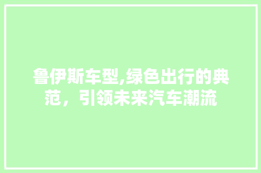 鲁伊斯车型,绿色出行的典范，引领未来汽车潮流