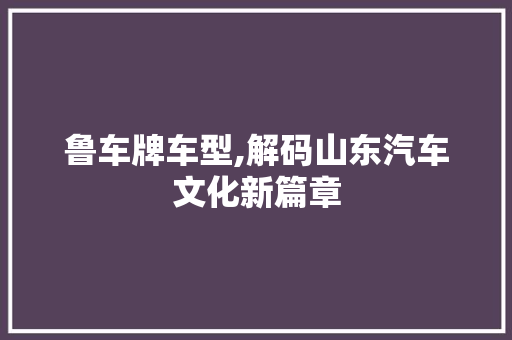 鲁车牌车型,解码山东汽车文化新篇章 汽车配件