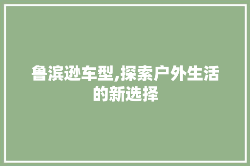 鲁滨逊车型,探索户外生活的新选择