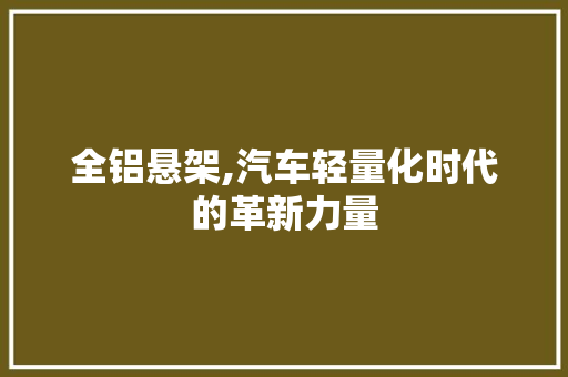 全铝悬架,汽车轻量化时代的革新力量 新能源汽车