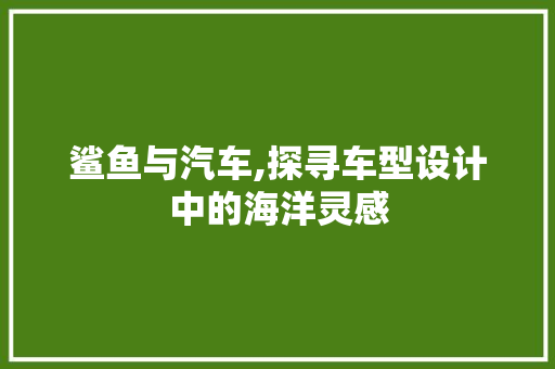 鲨鱼与汽车,探寻车型设计中的海洋灵感