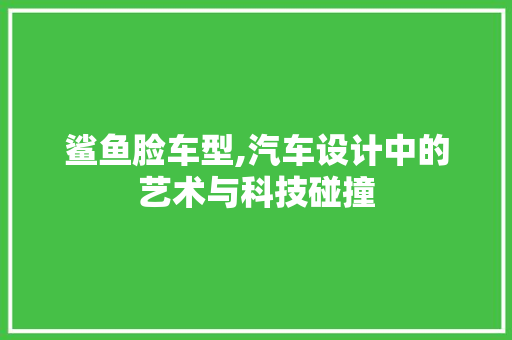 鲨鱼脸车型,汽车设计中的艺术与科技碰撞