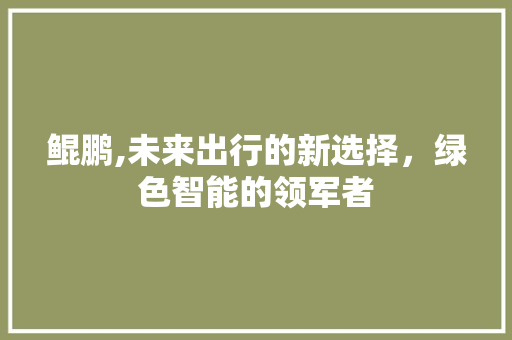 鲲鹏,未来出行的新选择，绿色智能的领军者