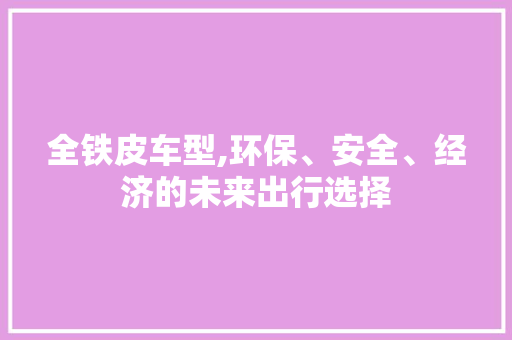 全铁皮车型,环保、安全、经济的未来出行选择