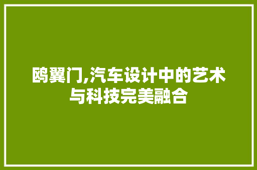 鸥翼门,汽车设计中的艺术与科技完美融合