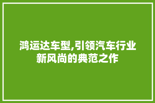 鸿运达车型,引领汽车行业新风尚的典范之作