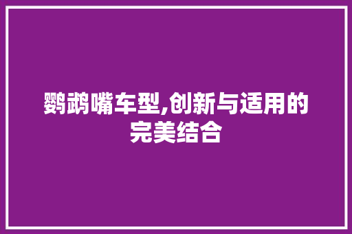 鹦鹉嘴车型,创新与适用的完美结合