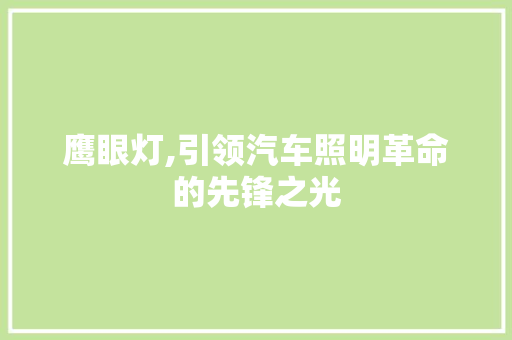 鹰眼灯,引领汽车照明革命的先锋之光