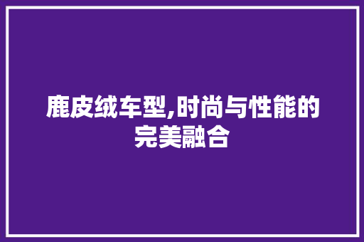 鹿皮绒车型,时尚与性能的完美融合