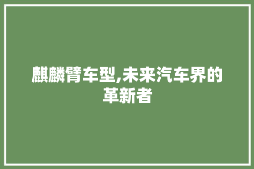 麒麟臂车型,未来汽车界的革新者