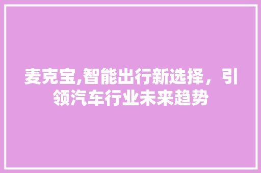 麦克宝,智能出行新选择，引领汽车行业未来趋势
