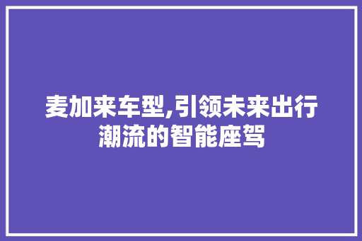 麦加来车型,引领未来出行潮流的智能座驾