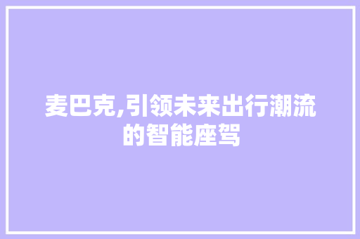 麦巴克,引领未来出行潮流的智能座驾