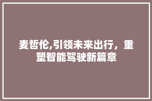麦哲伦,引领未来出行，重塑智能驾驶新篇章