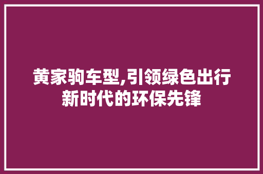 黄家驹车型,引领绿色出行新时代的环保先锋