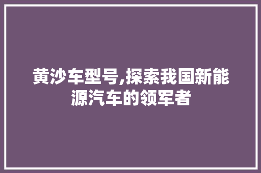 黄沙车型号,探索我国新能源汽车的领军者