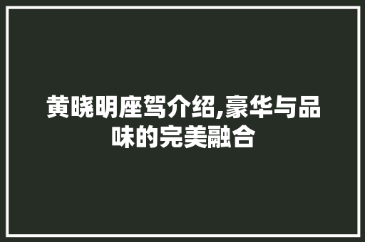 黄晓明座驾介绍,豪华与品味的完美融合