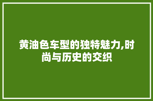 黄油色车型的独特魅力,时尚与历史的交织