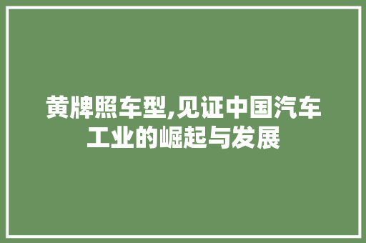 黄牌照车型,见证中国汽车工业的崛起与发展