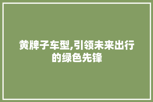 黄牌子车型,引领未来出行的绿色先锋