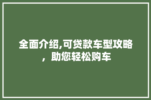 全面介绍,可贷款车型攻略，助您轻松购车