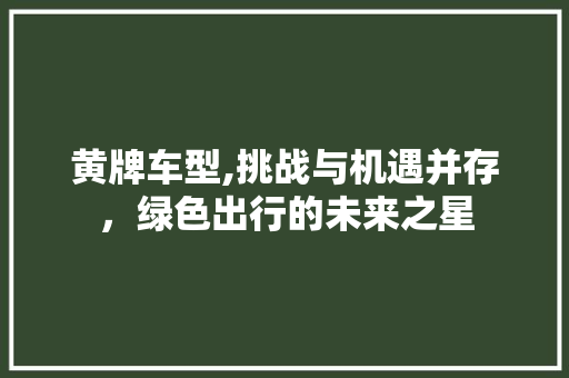 黄牌车型,挑战与机遇并存，绿色出行的未来之星