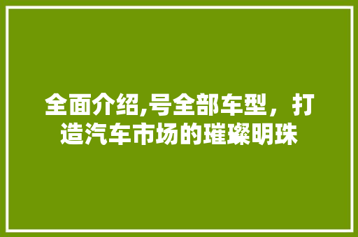 全面介绍,号全部车型，打造汽车市场的璀璨明珠