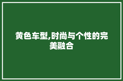 黄色车型,时尚与个性的完美融合