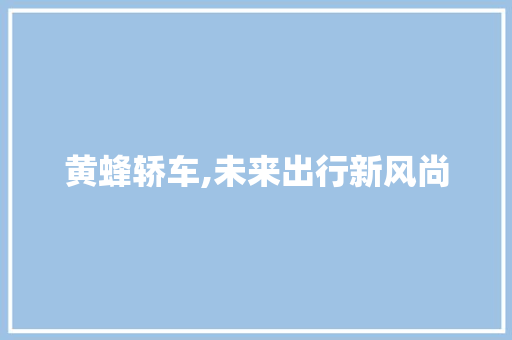 黄蜂轿车,未来出行新风尚