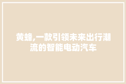 黄蜂,一款引领未来出行潮流的智能电动汽车