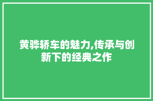 黄骅轿车的魅力,传承与创新下的经典之作