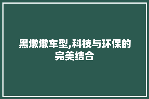 黑墩墩车型,科技与环保的完美结合