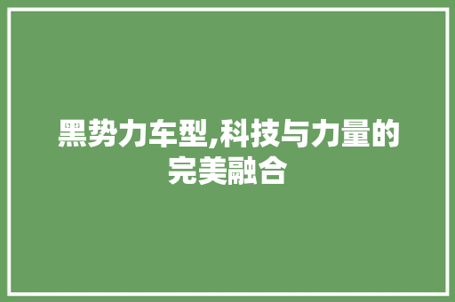 黑势力车型,科技与力量的完美融合