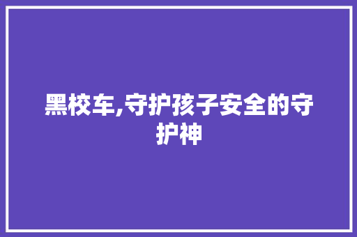 黑校车,守护孩子安全的守护神